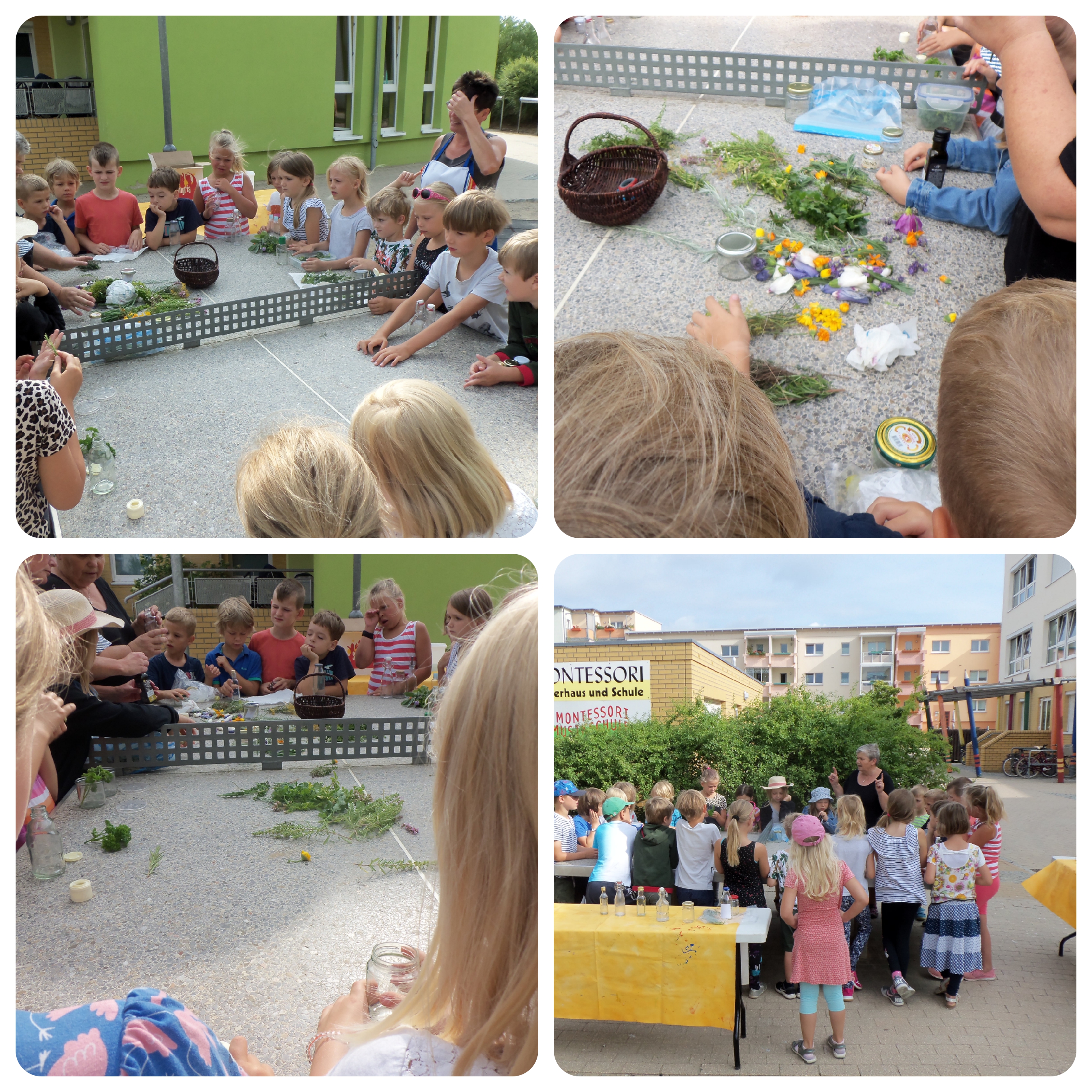 Kreativ 4 Montessori Schule Greifswald