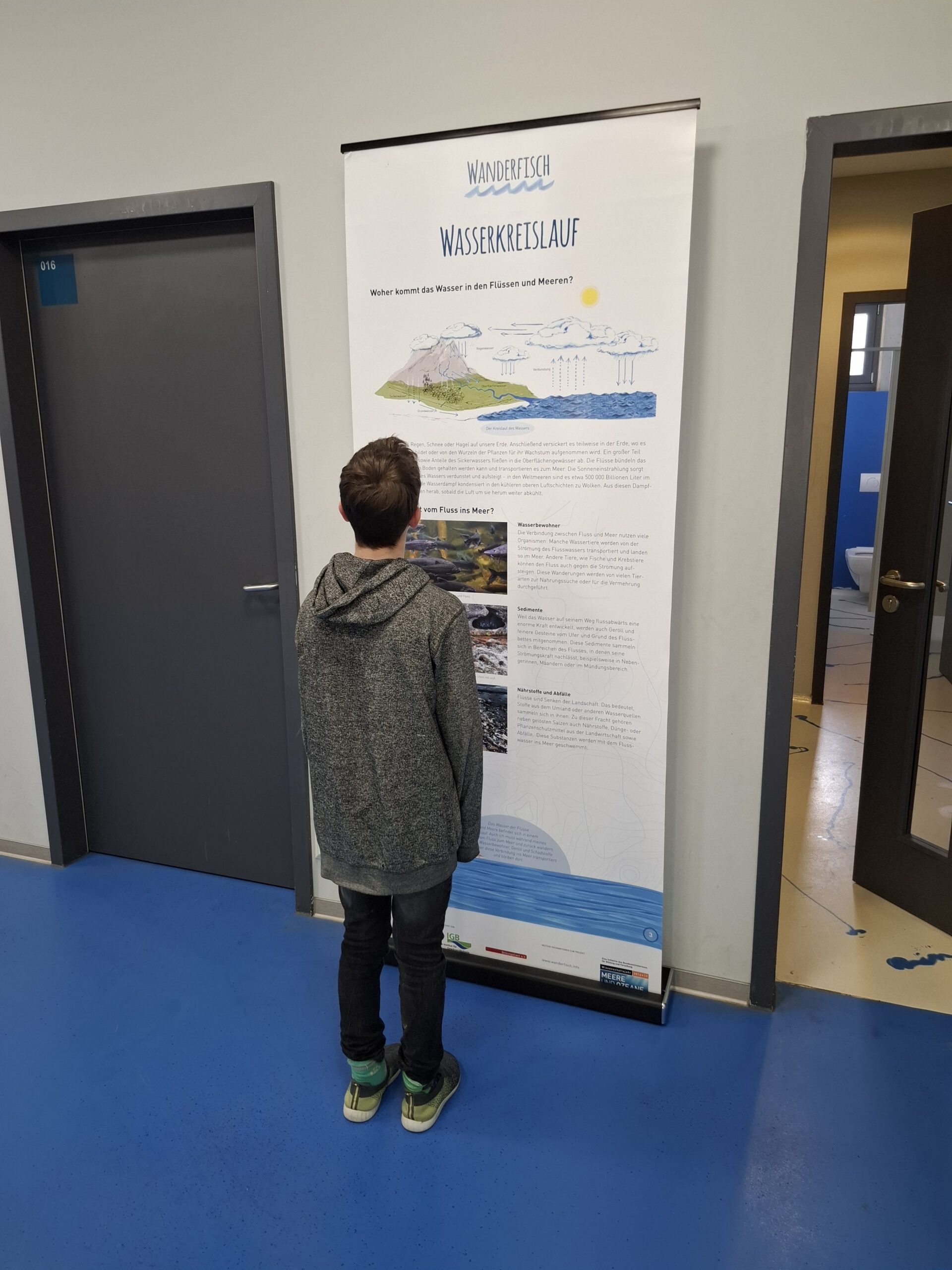 Wanderfische_20260420_101330